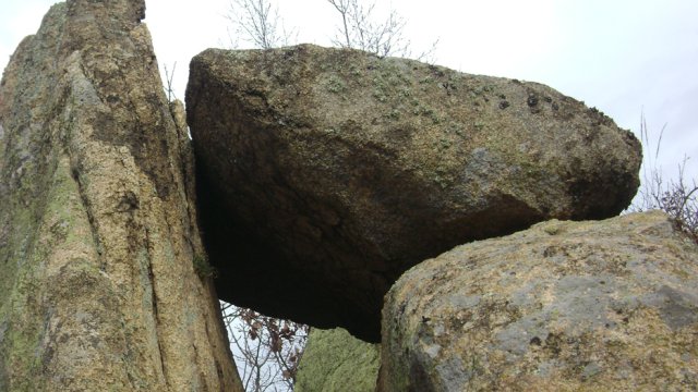 DSC04923-1