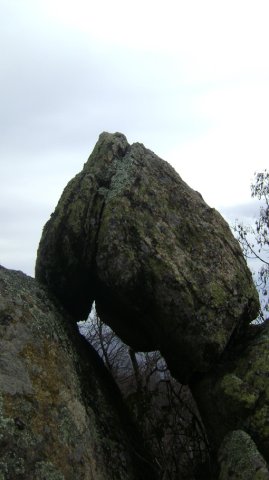 DSC04968-1