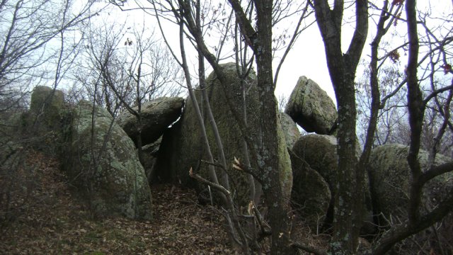 DSC04974-1