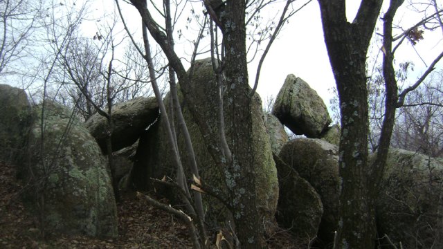 DSC04975-1