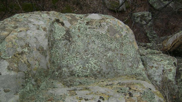 DSC05001-1