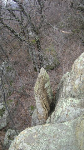 DSC05003-1