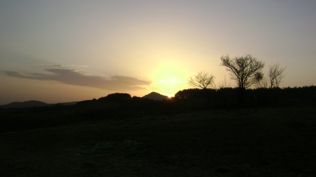 DSC05132-1