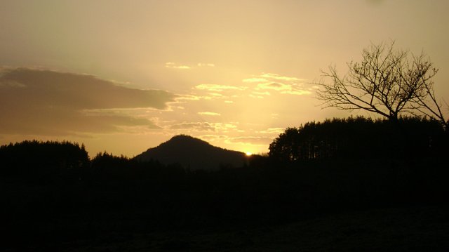 DSC05133-1
