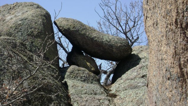 DSC05278-1