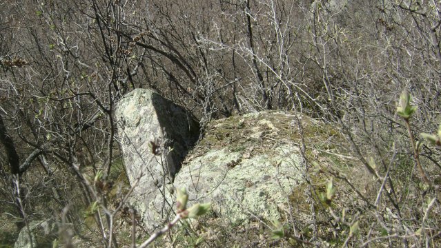 DSC05282-1