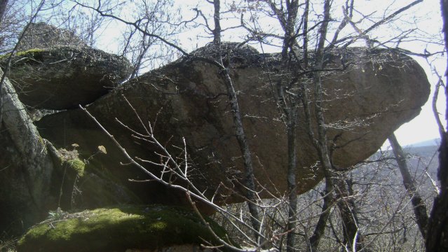 DSC05284-1