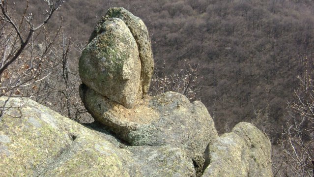 DSC05301-1