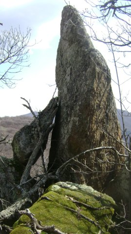 DSC05305-1