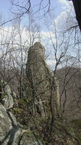 DSC05307-1