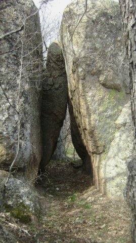 DSC05329-1