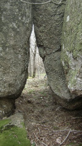 DSC05331-1