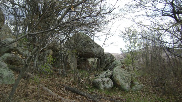 DSC05344-1