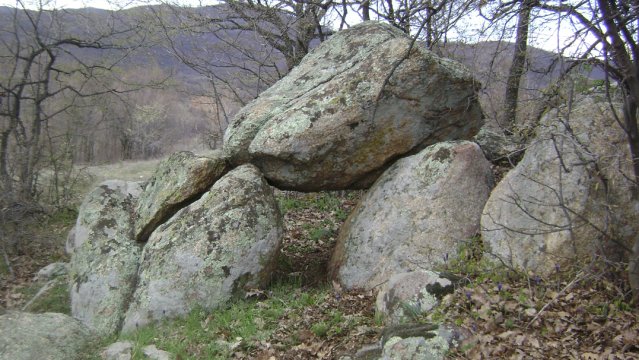 DSC05354-1