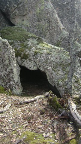 DSC07684-1