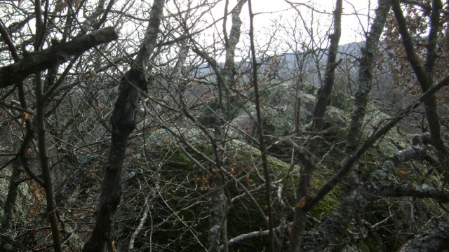 DSC07695