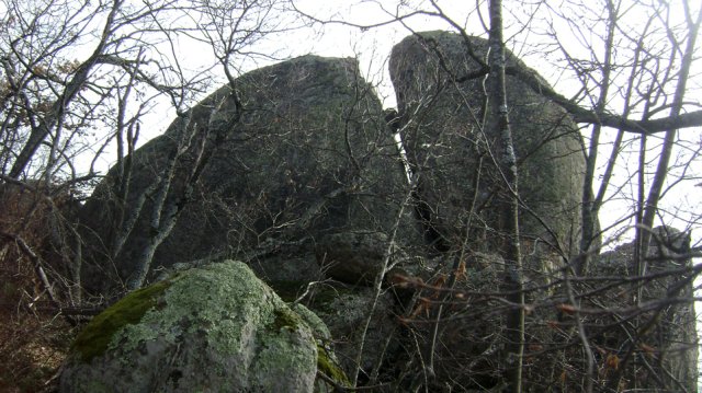 DSC07705-1