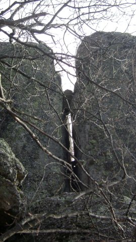 DSC07708-1