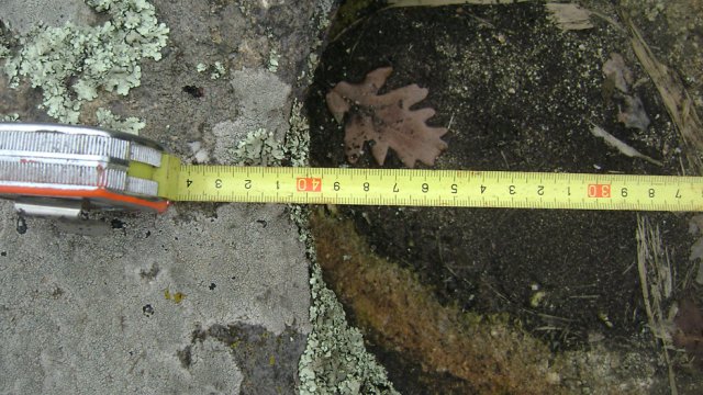 DSC07745-1