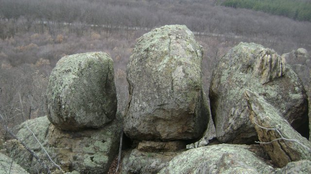 DSC07757-1