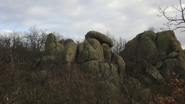 DSC07778-1