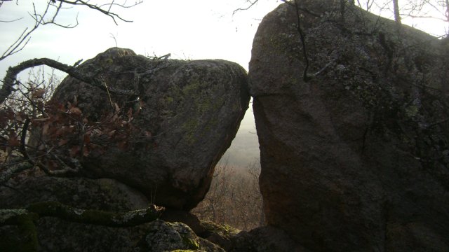 DSC07781-1