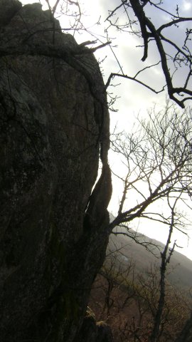 DSC07786-1