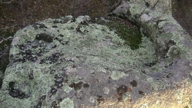 DSC07795