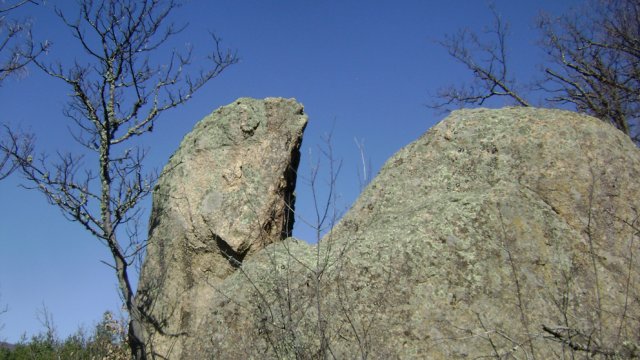 DSC07813-1