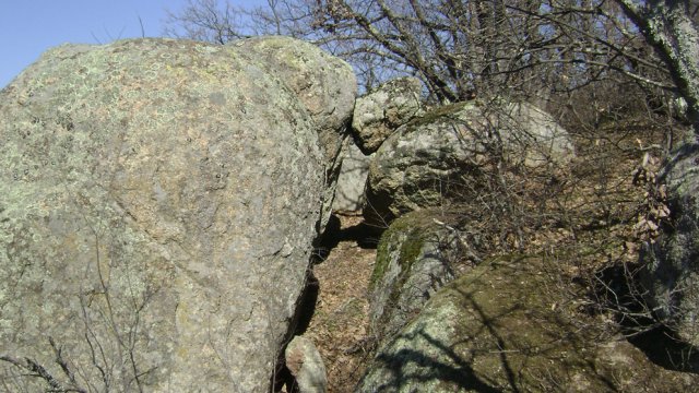 DSC07822-1