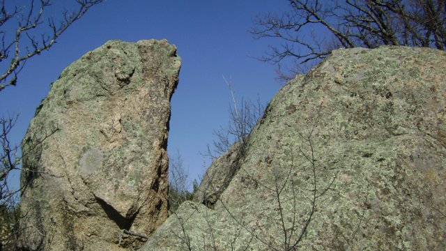 DSC07833-1