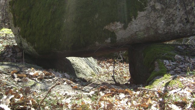 DSC07846-1
