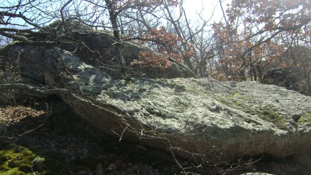 DSC07866-1