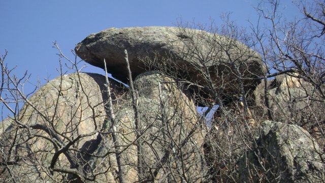 DSC07871-1