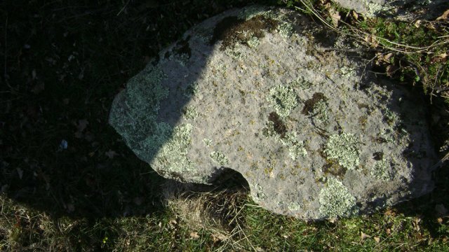DSC07879-1