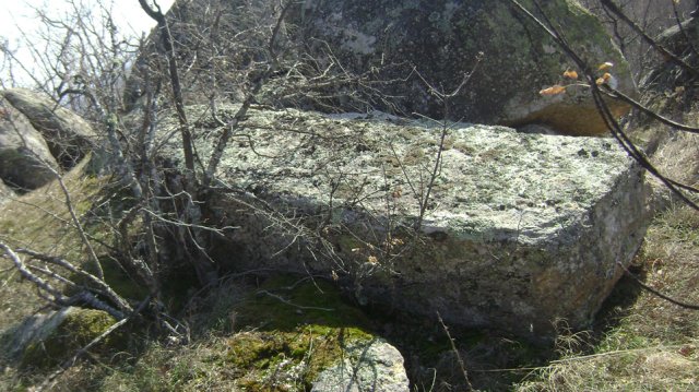 DSC07887-1