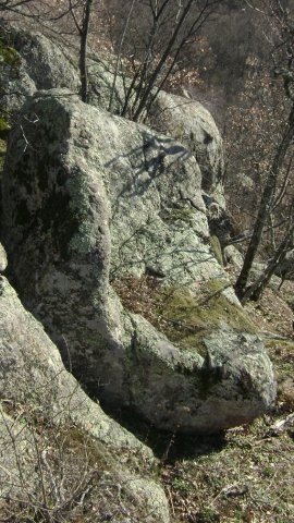 DSC07893-1