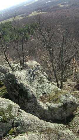 DSC07894-1