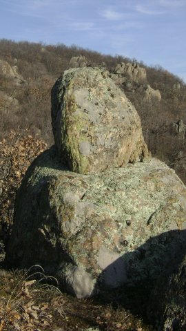 DSC07924-1