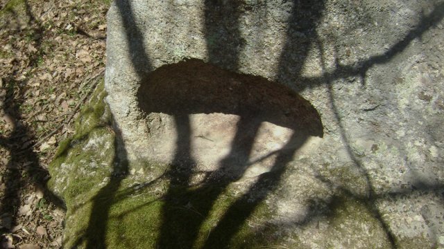 DSC08056-1