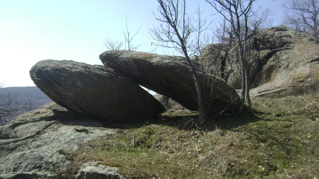 DSC08066-1