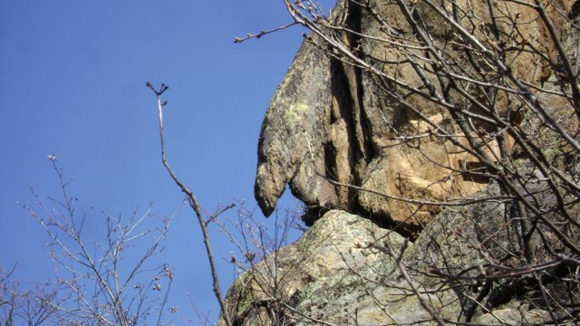 DSC08072-1