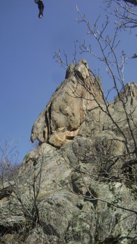DSC08078-1