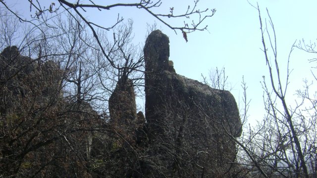 DSC08090-1