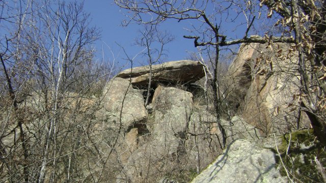 DSC08096-1