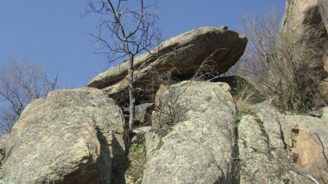 DSC08100-1