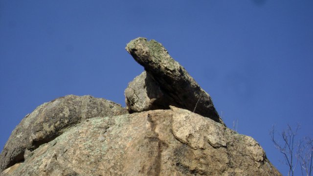 DSC08130-1