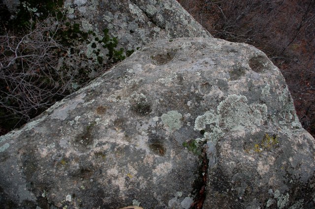 DSC_1617-1