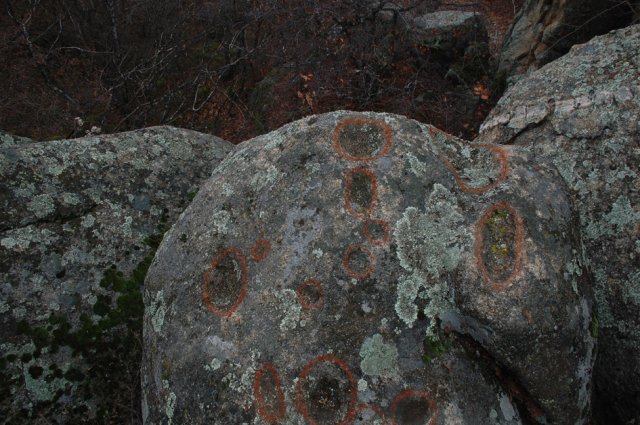 DSC_1691-1