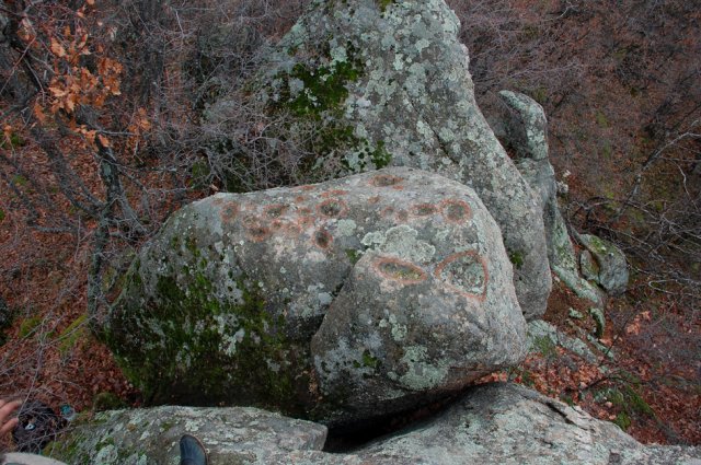 DSC_1694-1